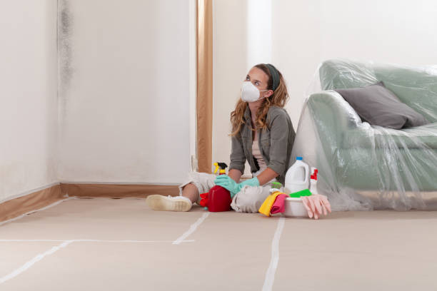 Reliable Mold Remediation contractor in Spring Hope, NC by WQB Mold Removal